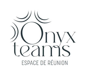 ONYX TEAMS LOCATION SALLE VISIO CONFERENCE BASSIN ARCACHON GUJAN MESTRAS